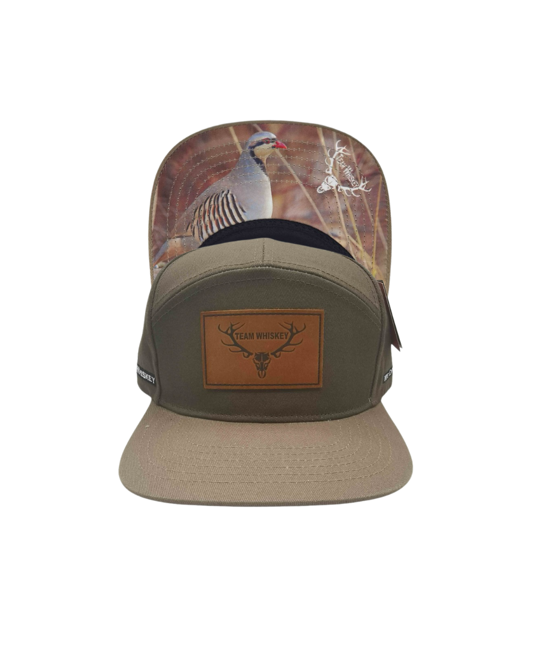 Chukar (Curved Bill)