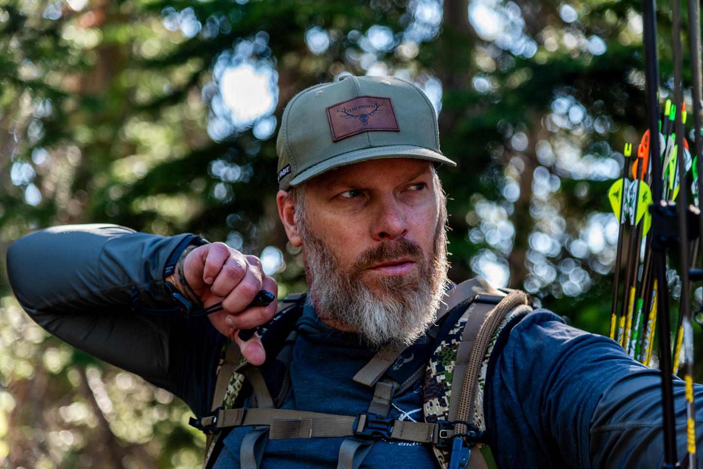 Wild Boar (Curved Bill)