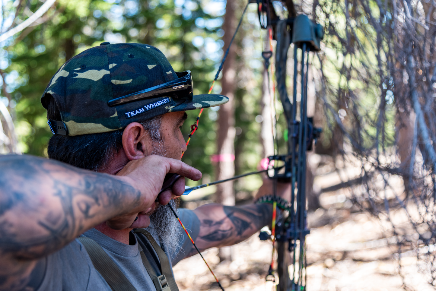 Bow Hunter (Curved Bill)