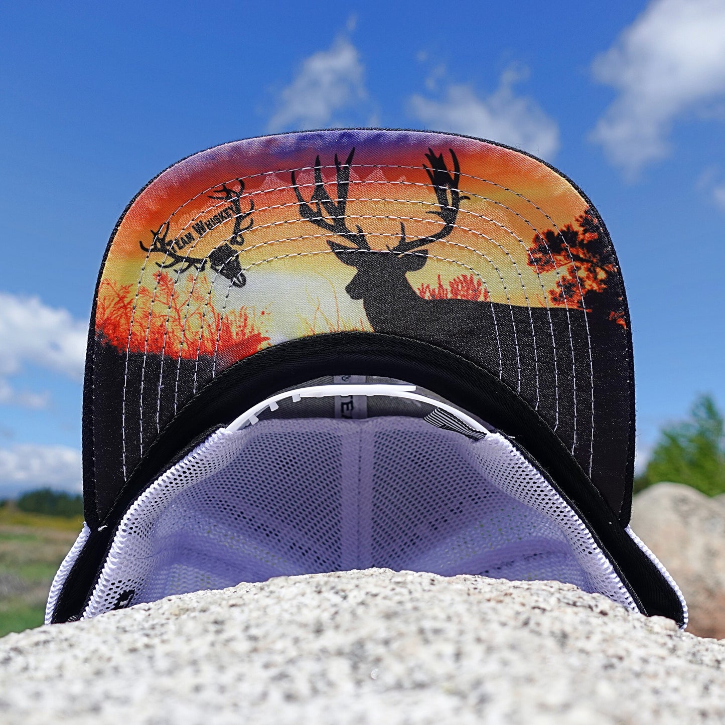 Mule Deer (Curved Bill)