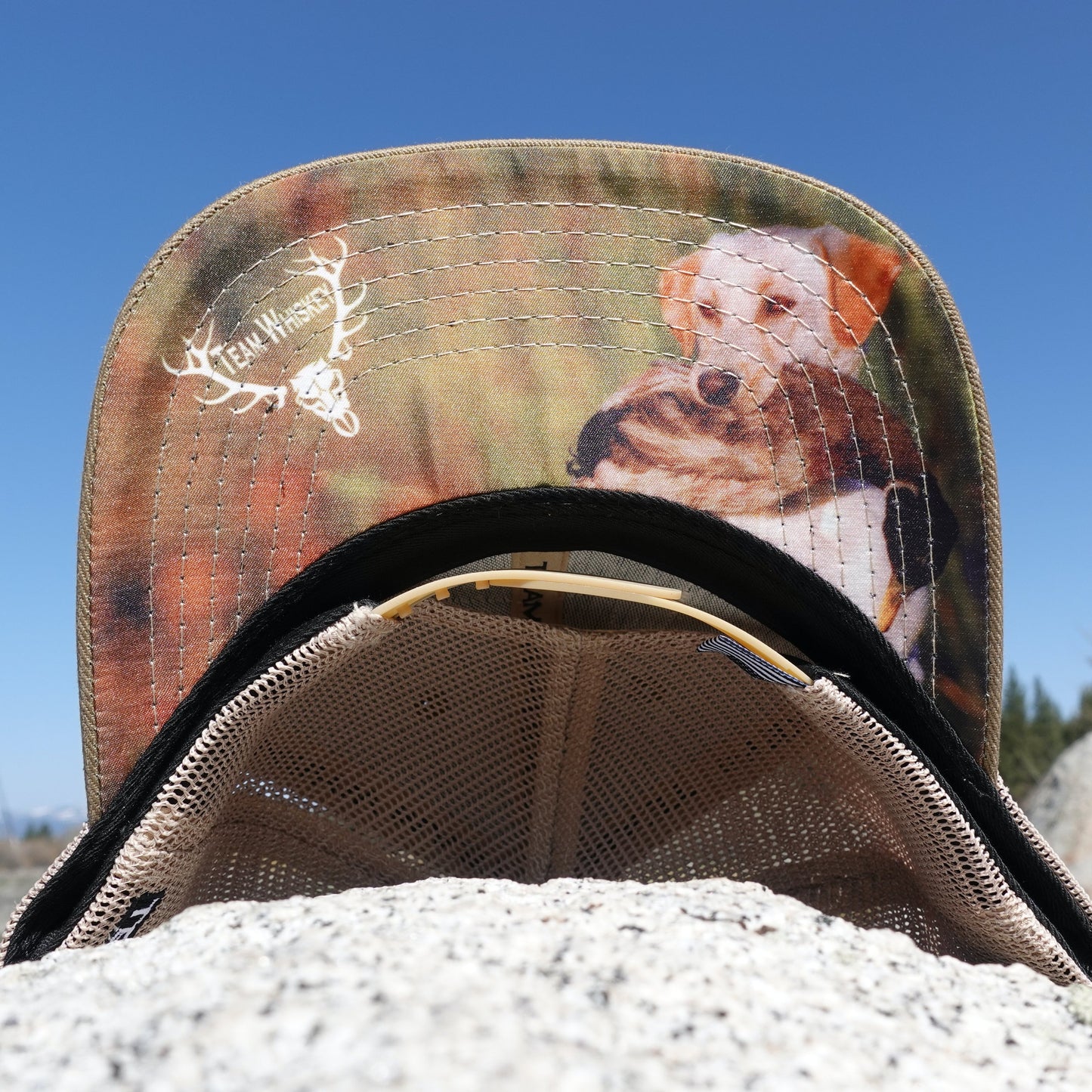 Bird Dog (Curved Bill)