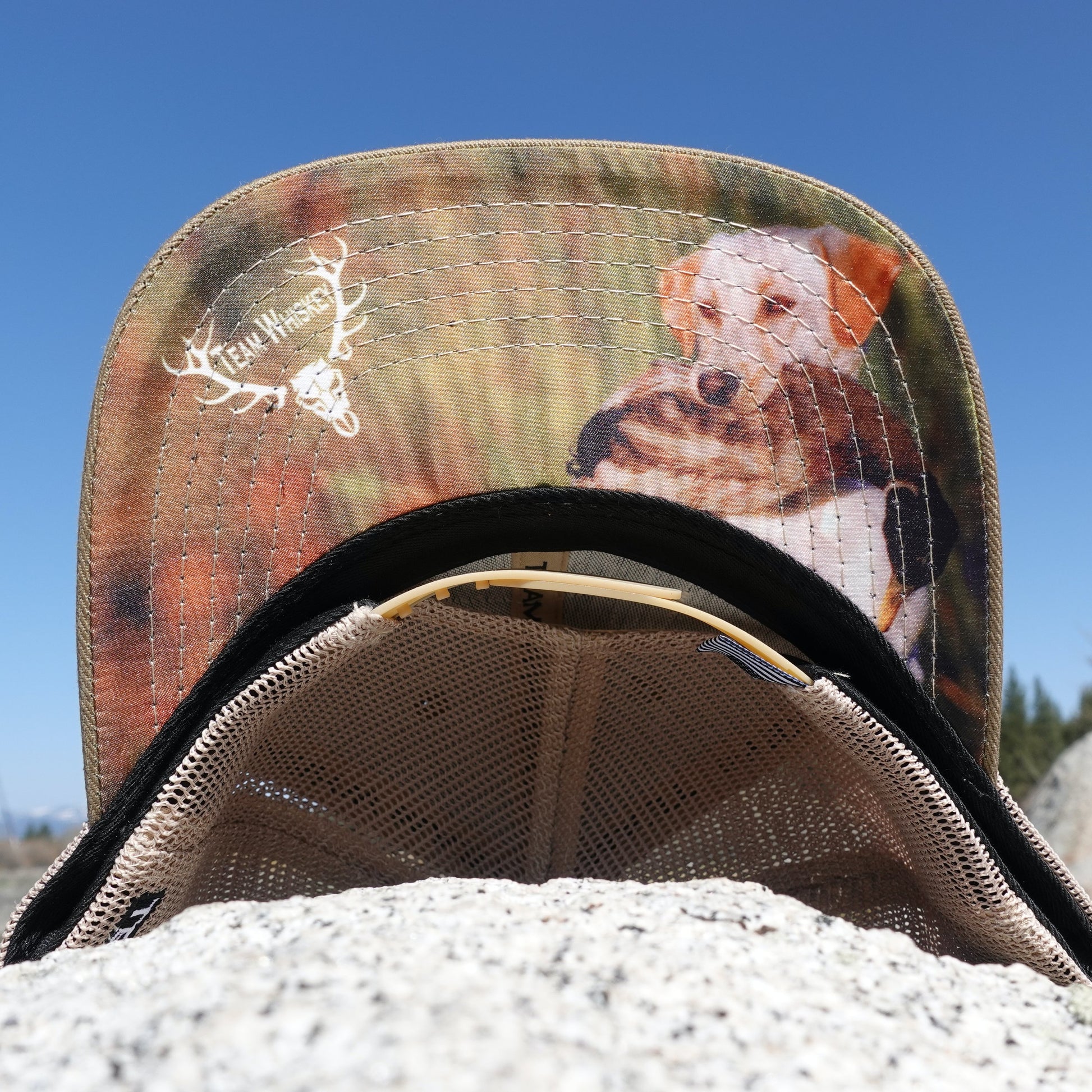 Bird Dog (Curved Bill)