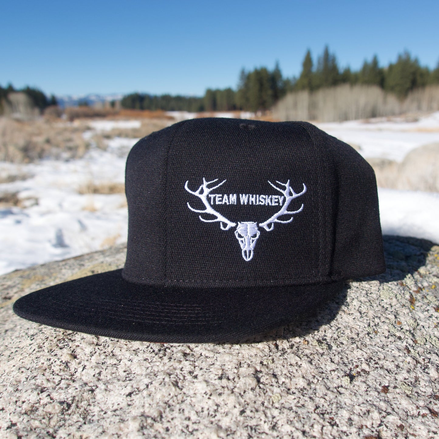 AR-15 Whiskey Flex (Flat Bill)