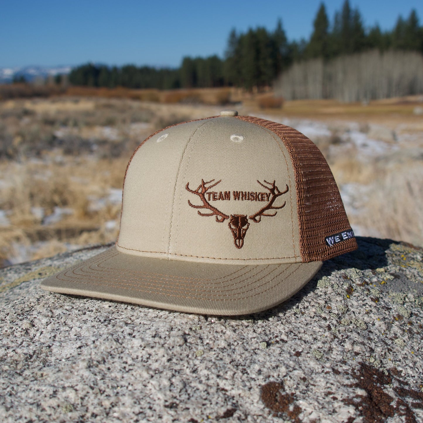 Barn Field  (Curved Bill)