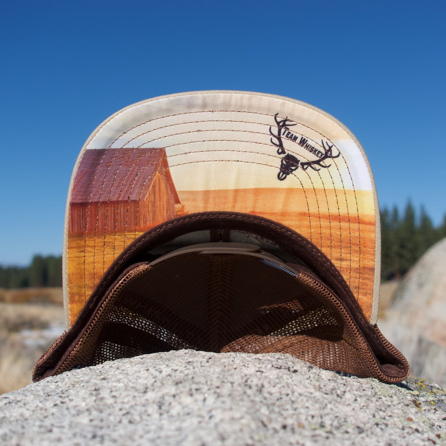 Barn Field  (Curved Bill)