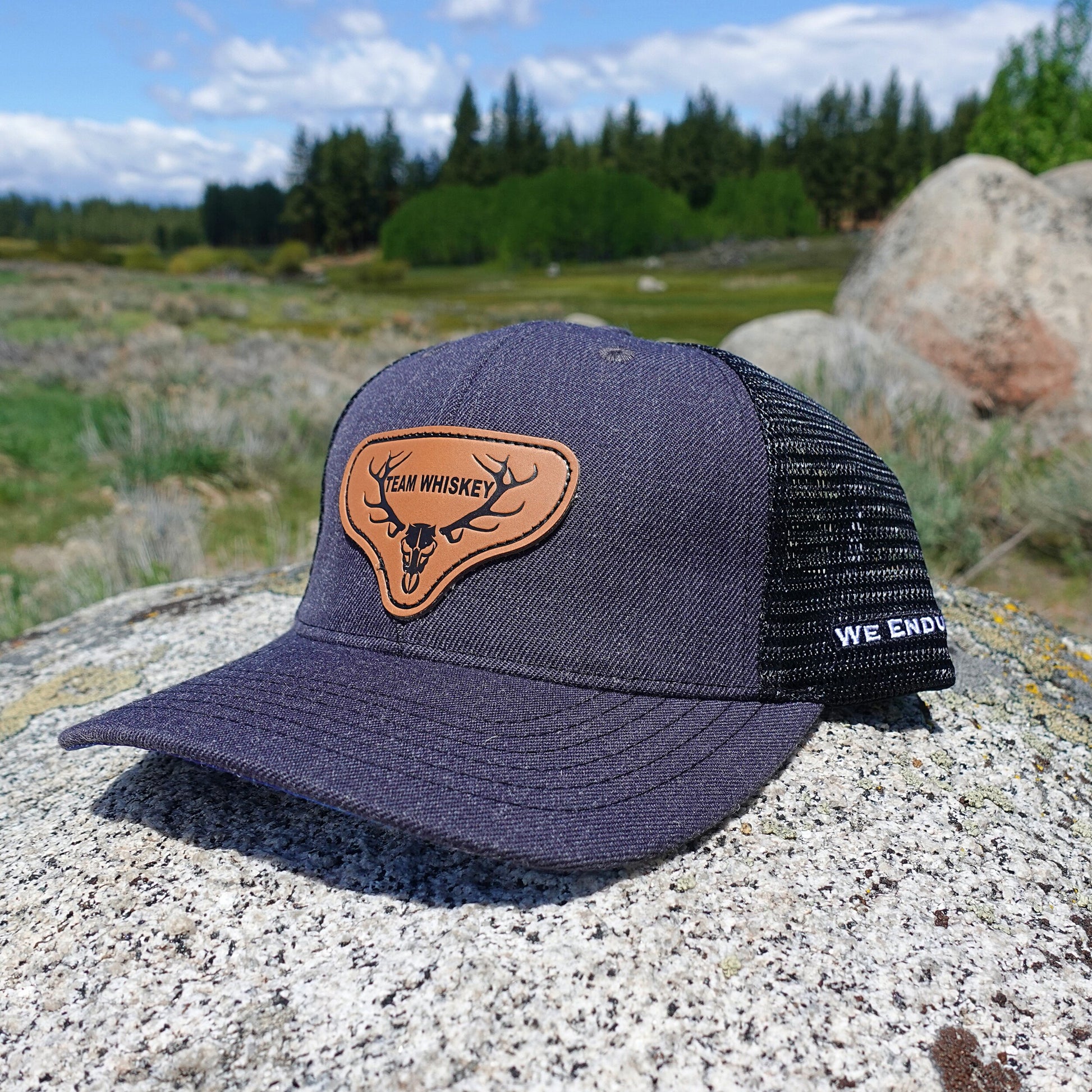 Aurora Borealis  (Curved Bill)