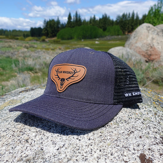 Aurora Borealis  (Curved Bill)