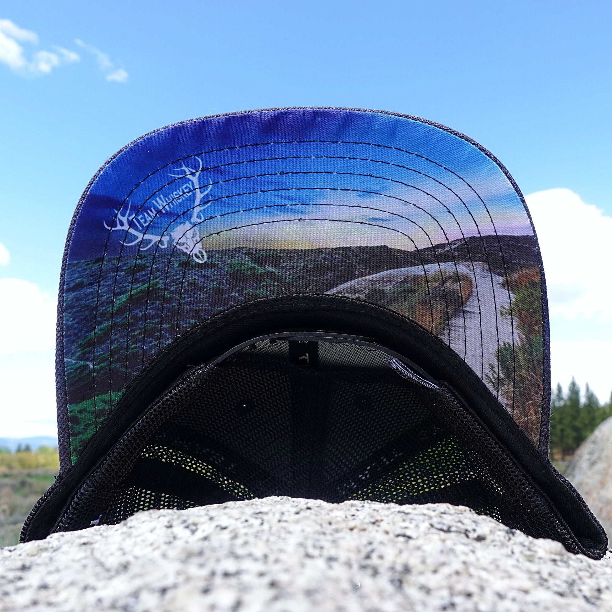 Aurora Borealis  (Curved Bill)