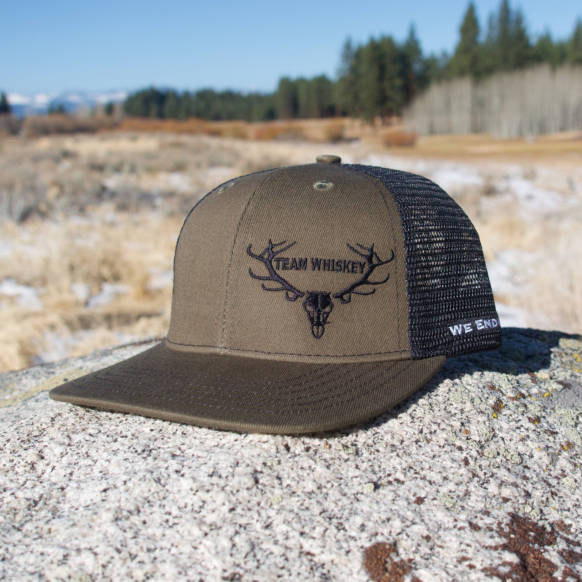 Grizzly Bear (Curved Bill)