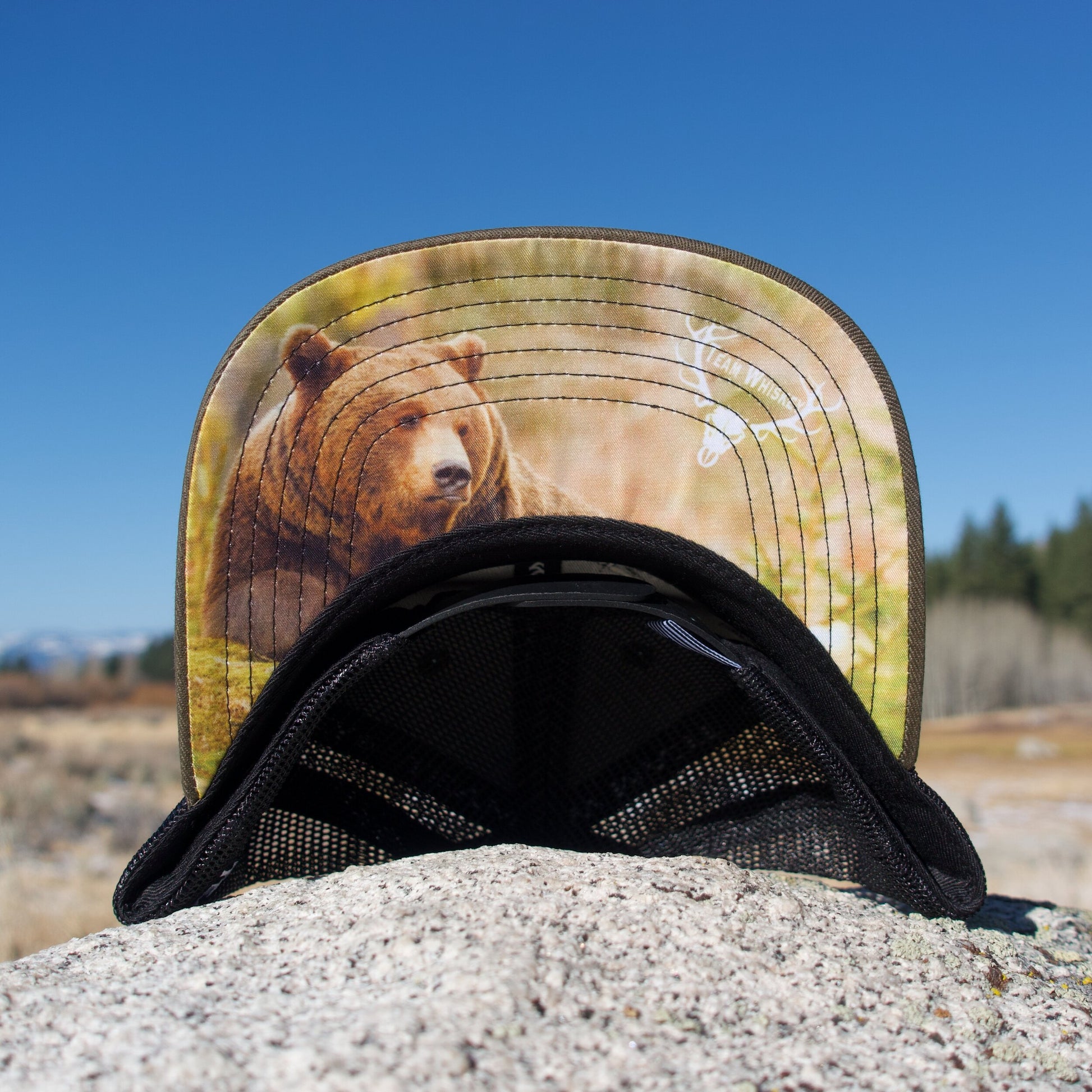 Grizzly Bear (Curved Bill)