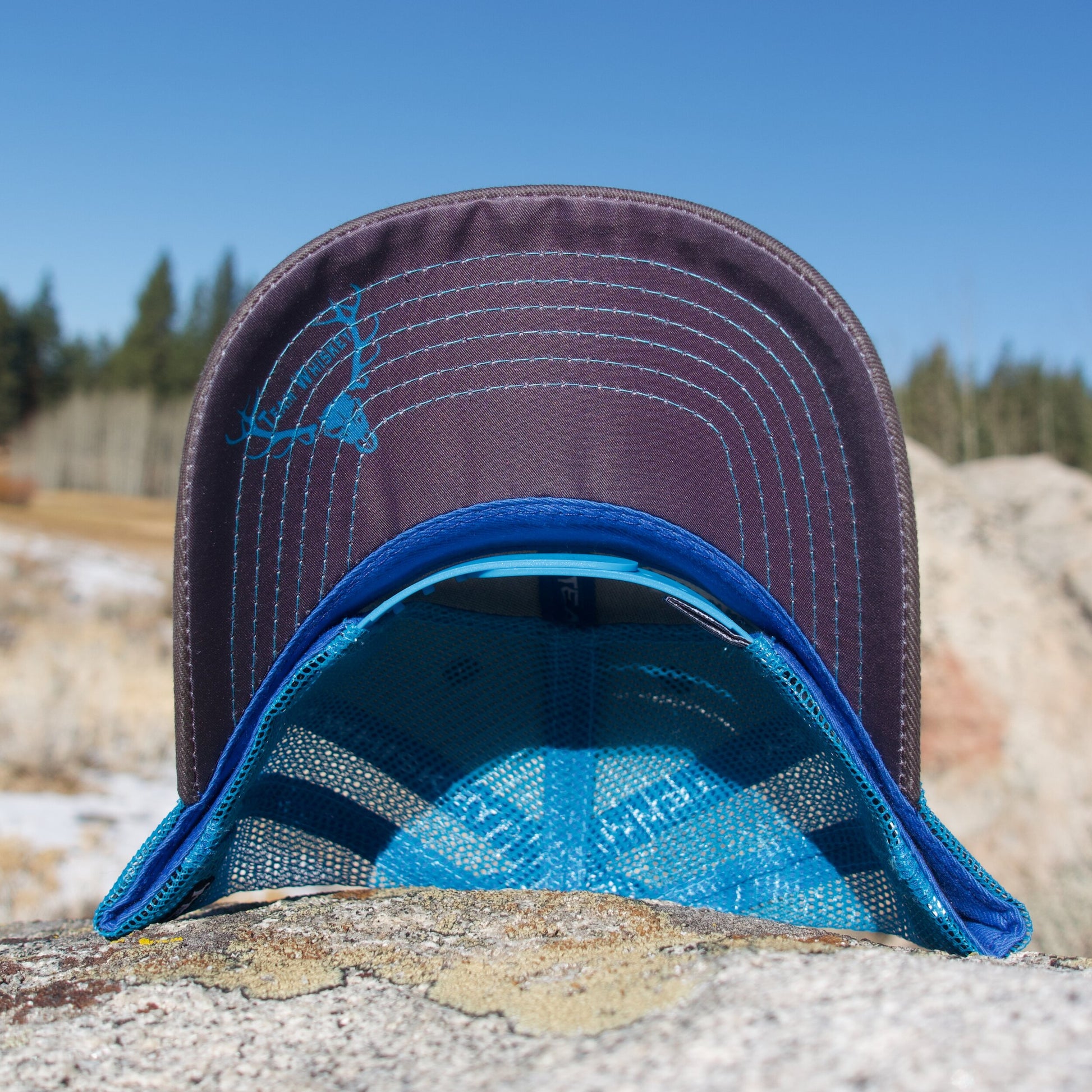 Neon Blue (Curved Bill)