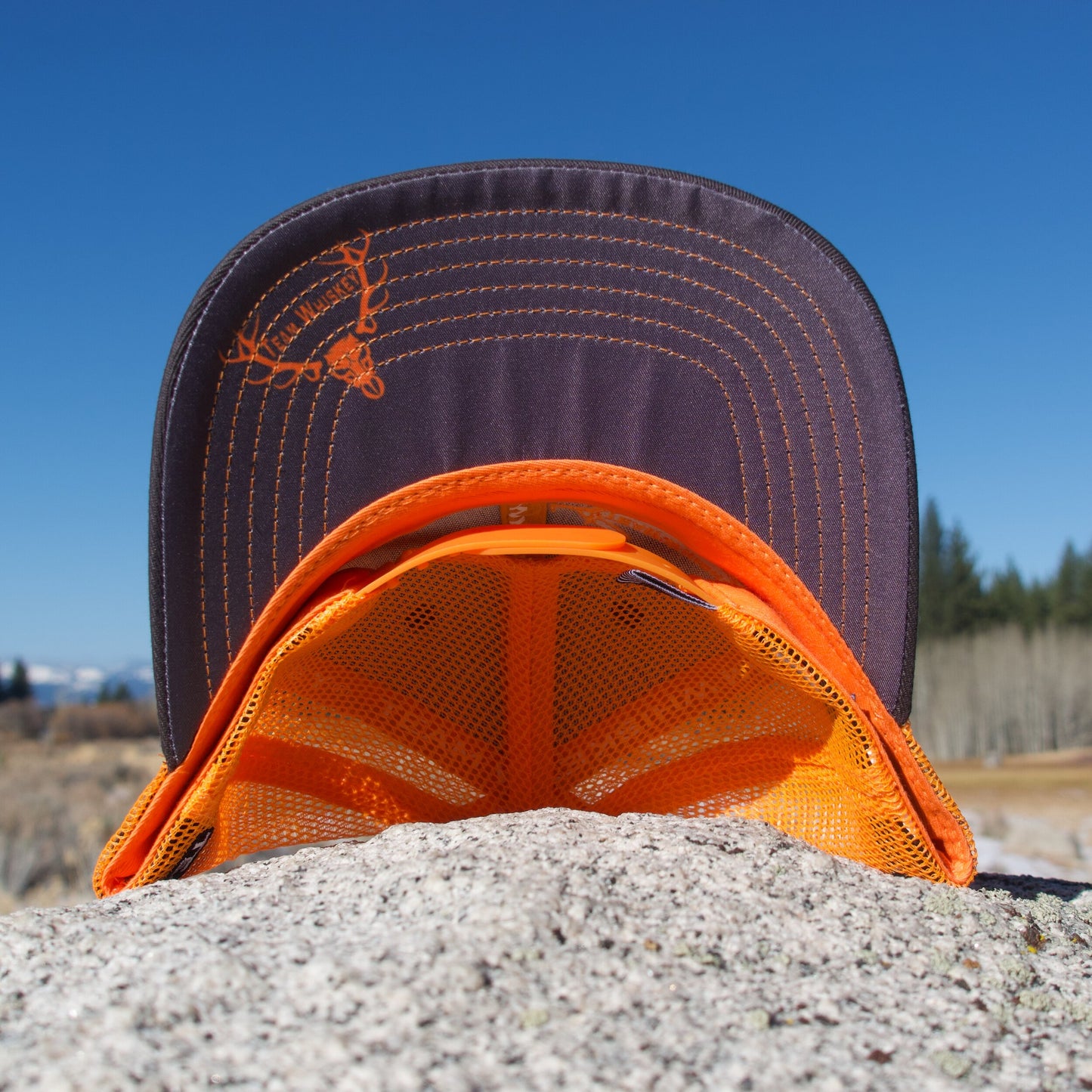 Neon Orange (Curved Bill)