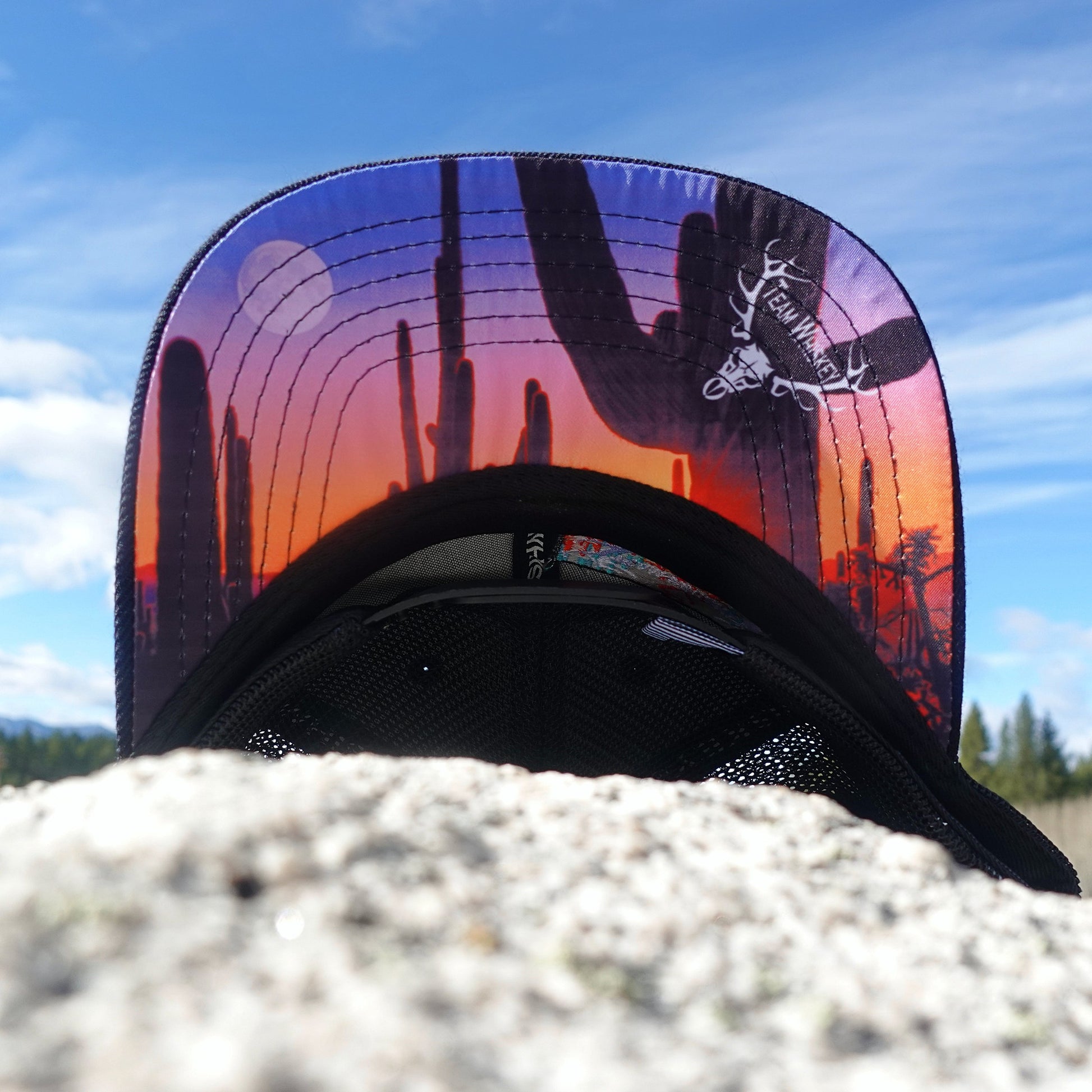 Desert (Curved Bill)