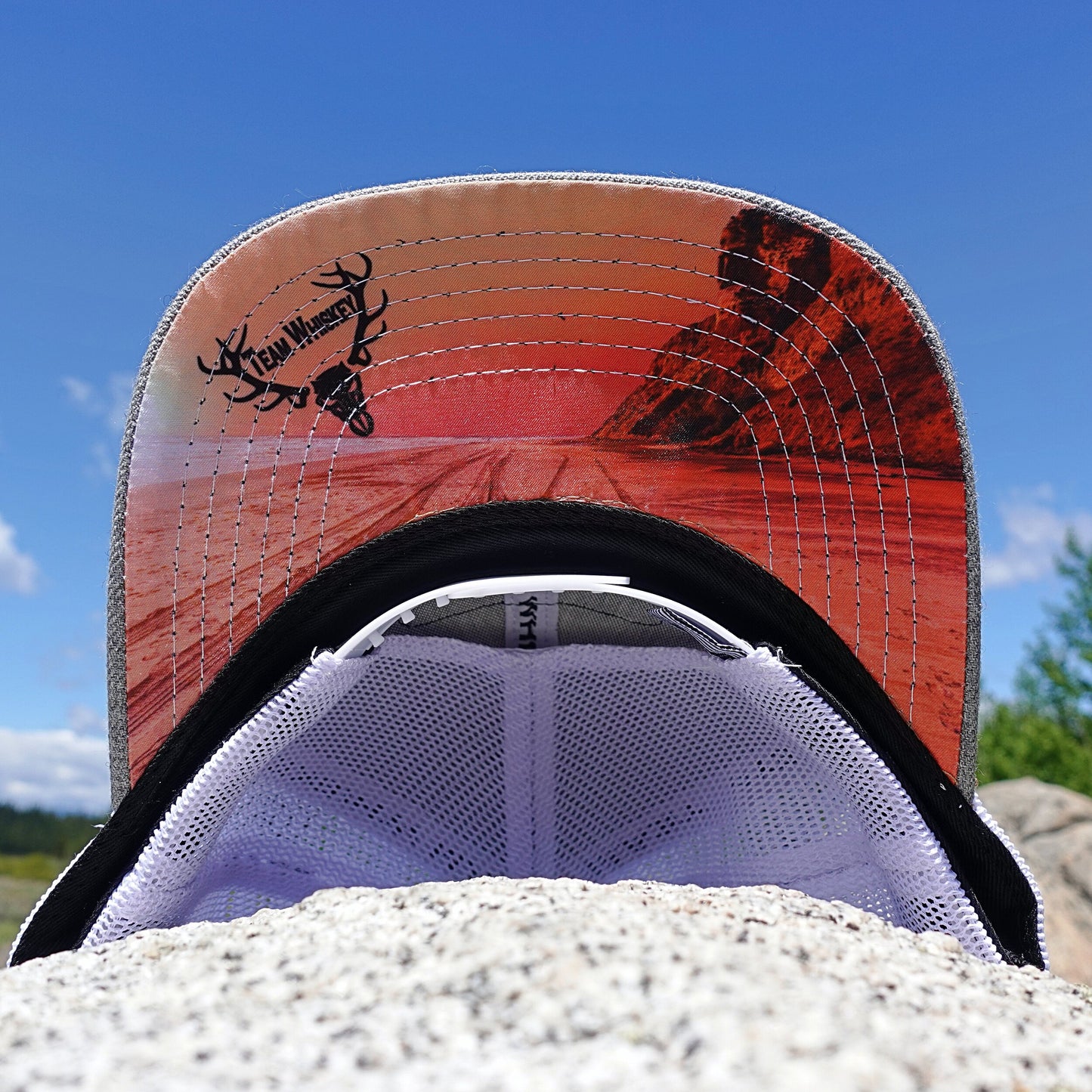 Beach Tracks (Curved Bill)