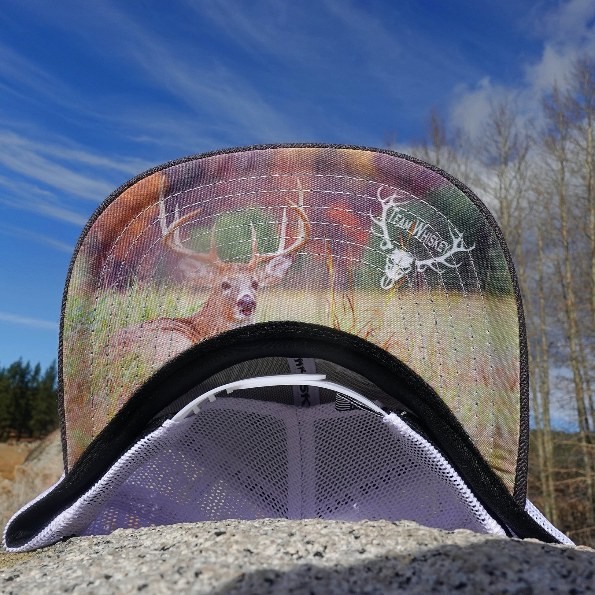 Whitetail Deer (Curved Bill)