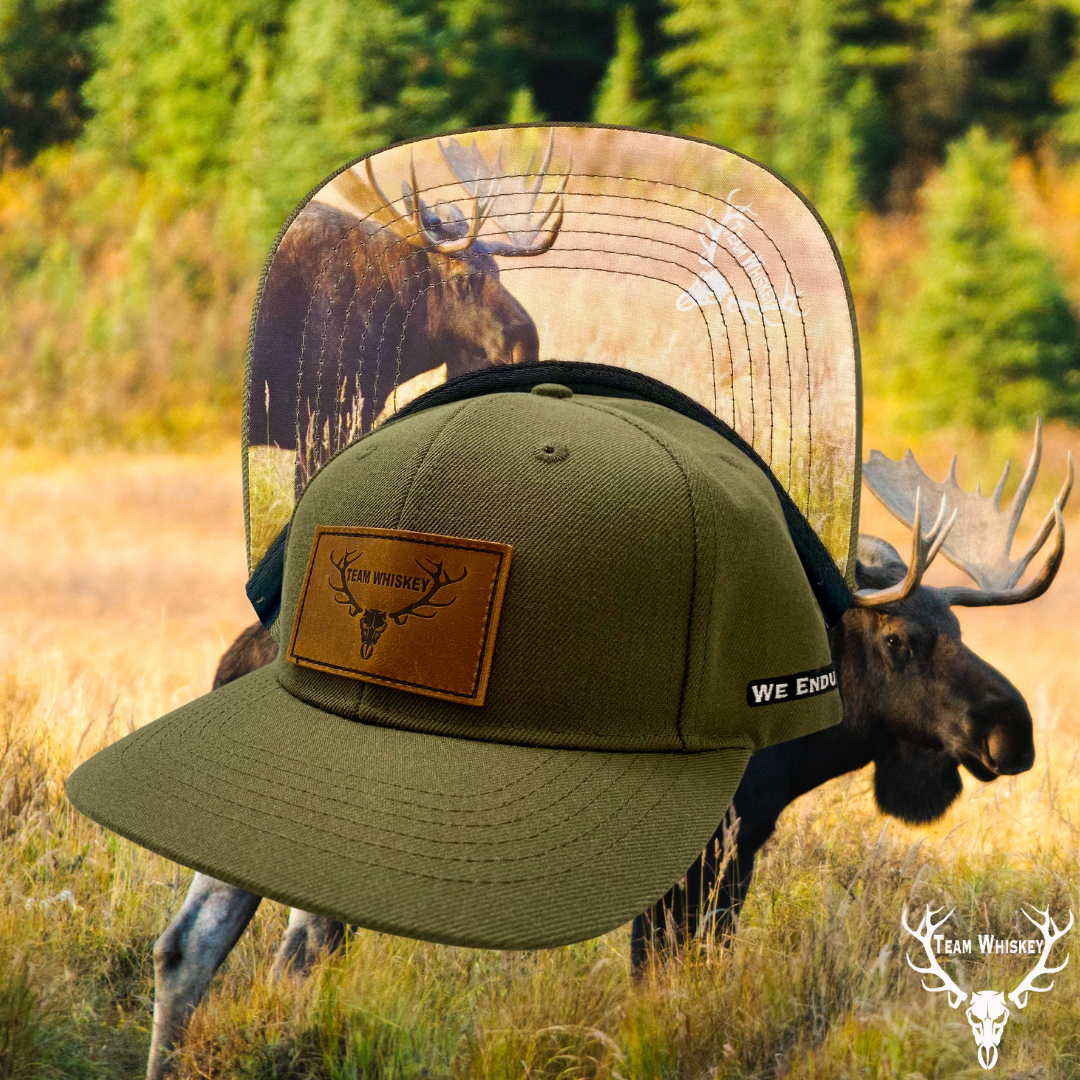 Moose (Curved Bill)