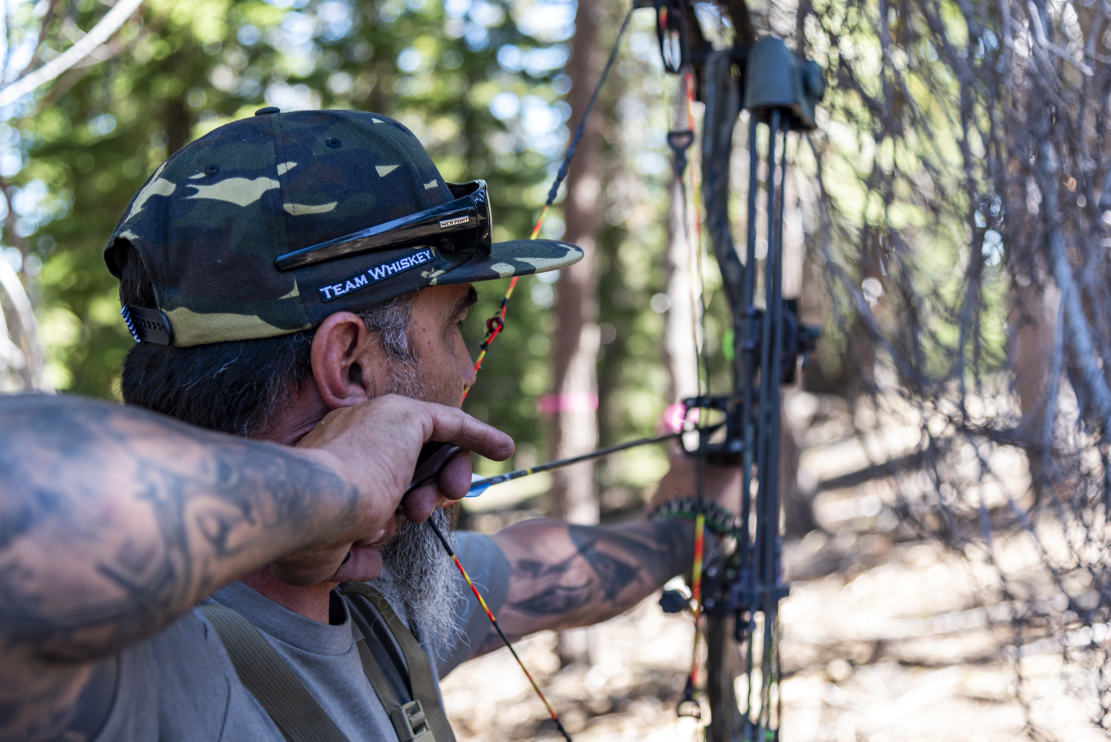 Bow Hunter (Curved Bill)