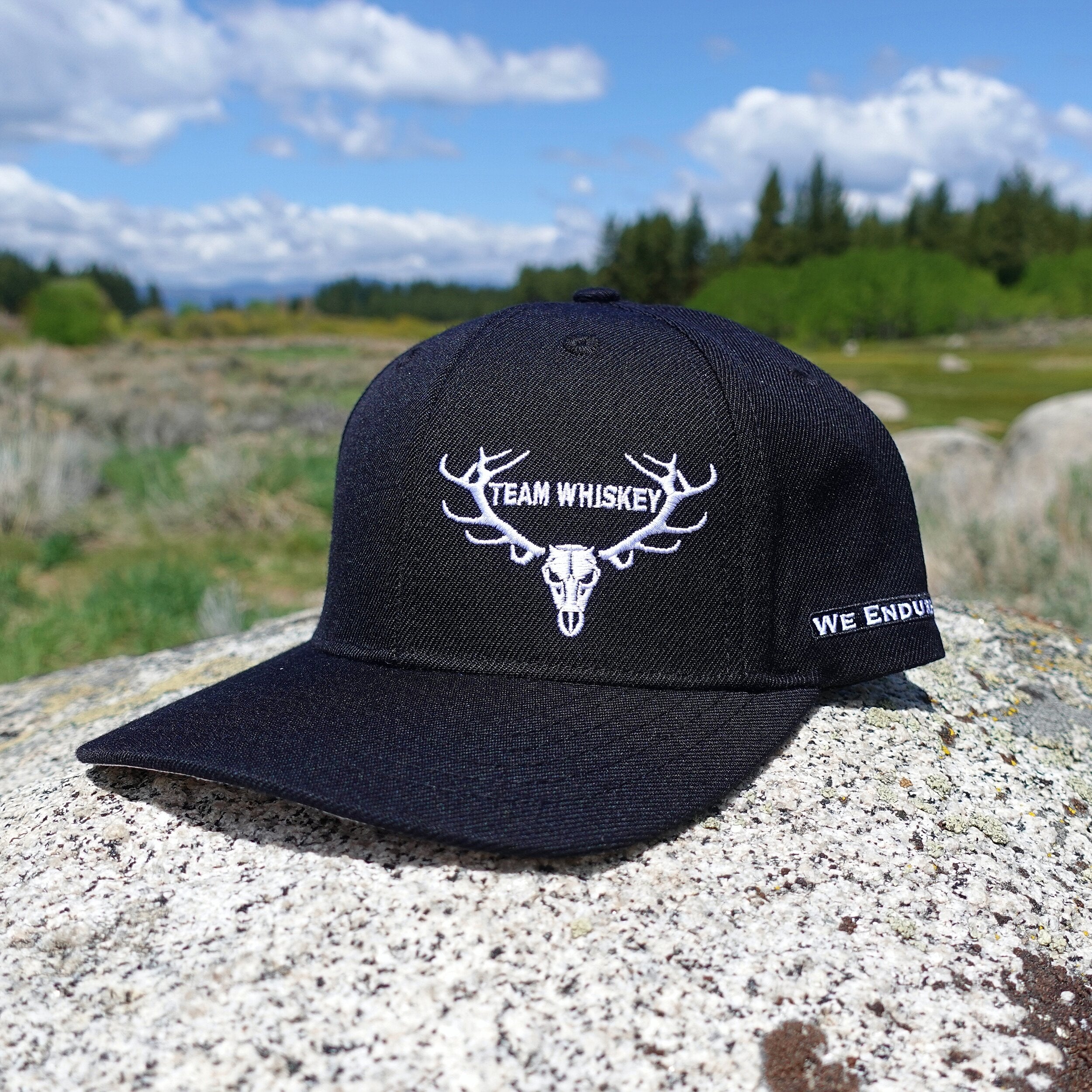 Elk (Curved Bill)