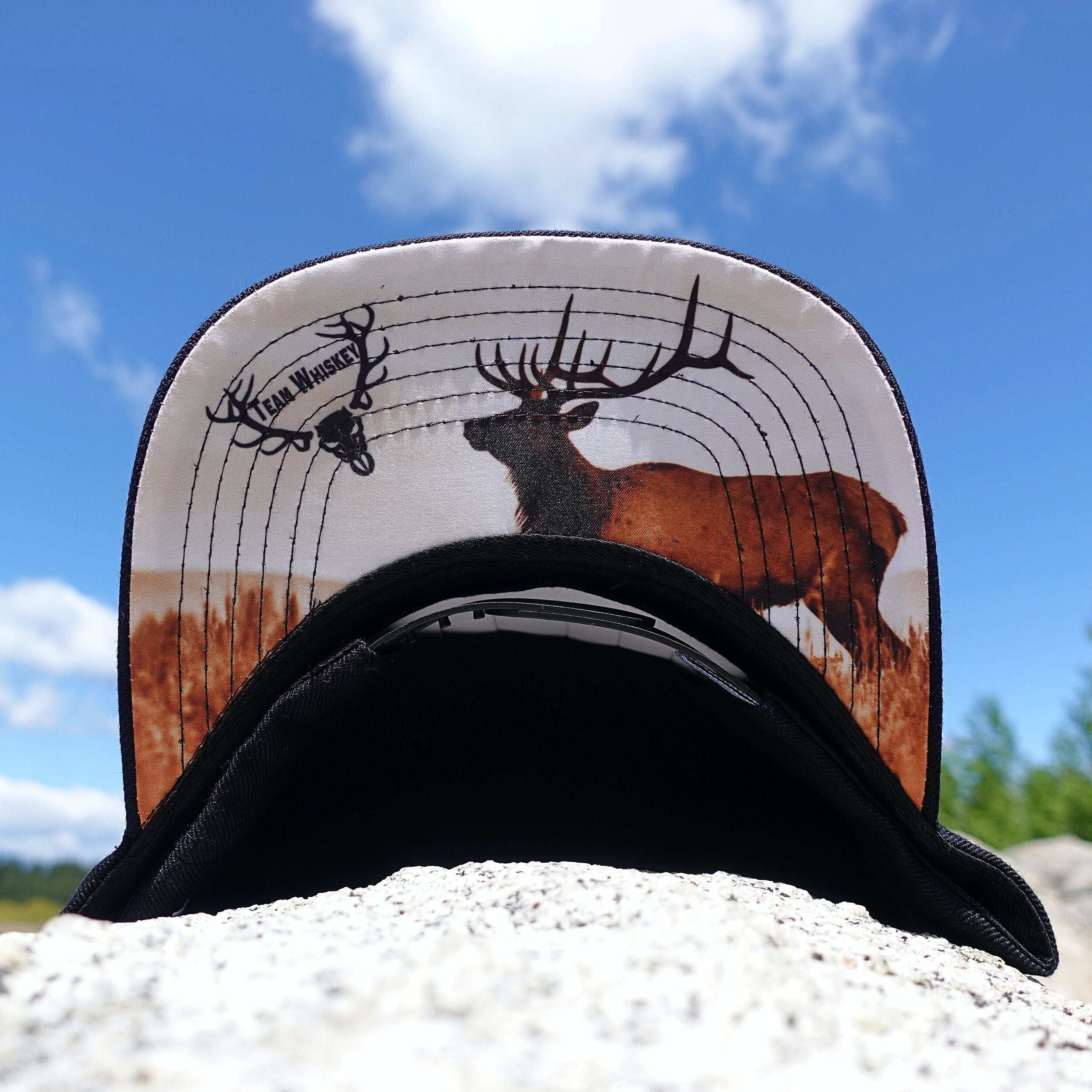 Elk (Curved Bill)