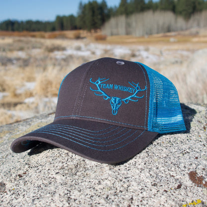 Neon Blue (Curved Bill)